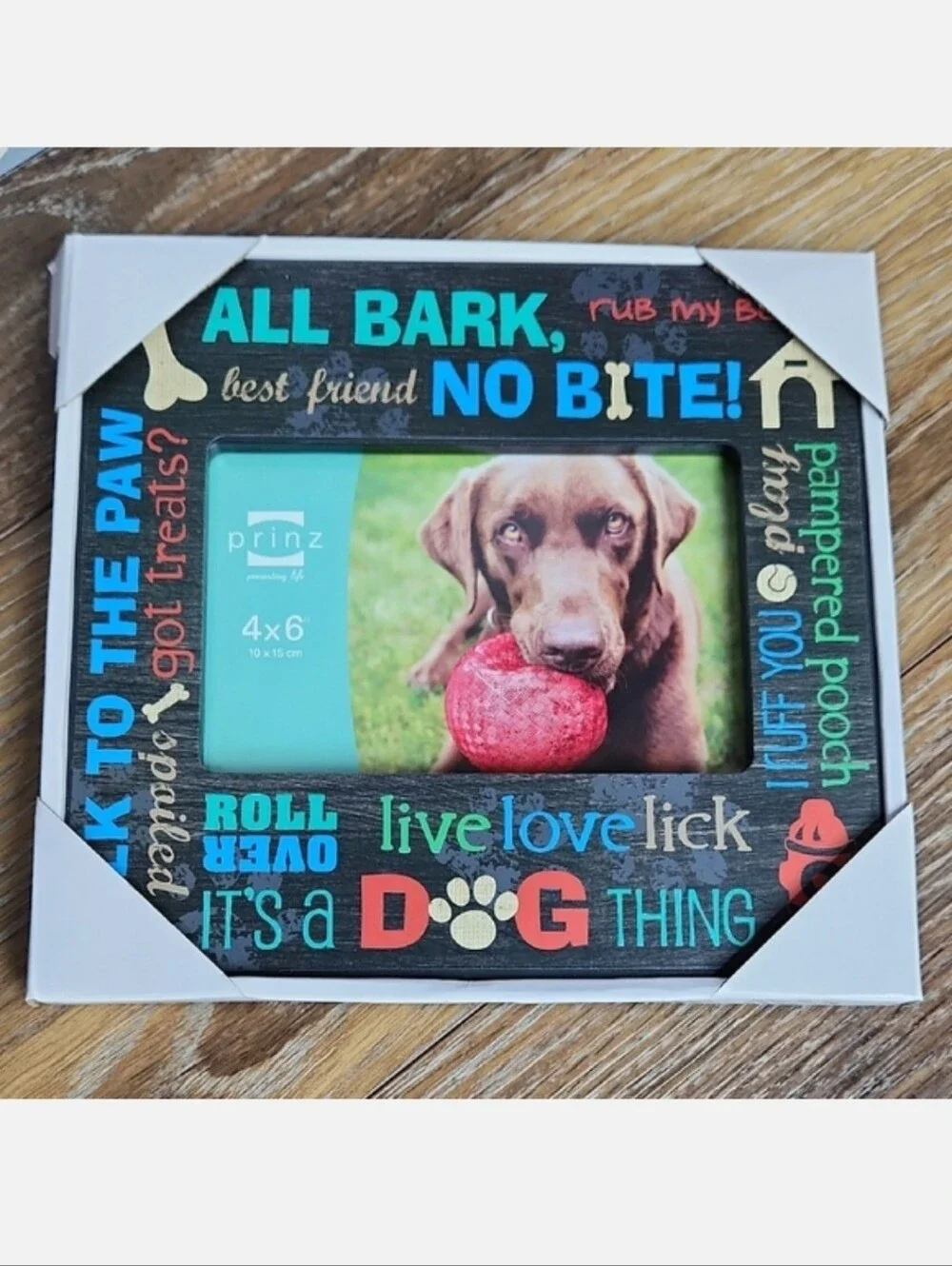 NIB Dog Photo Frame with Dog Sayings Blue Green Red Black Fire Hydrant Bone Ball